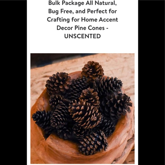 ❗5 For $2️⃣5️⃣ Bundle Sale❗️ Natural Source Pine Cones ~ Bag of 24 for Crafting - Picture 3 of 10
